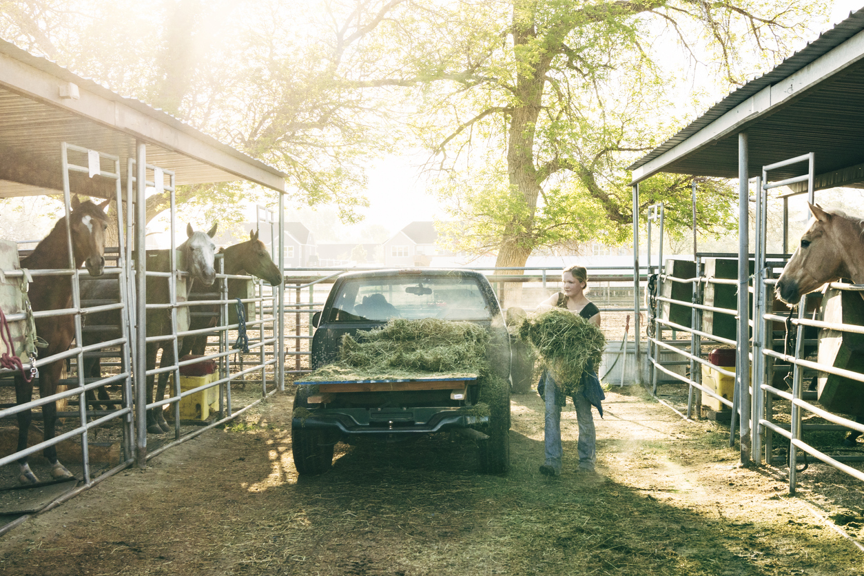 Converting Your Truck to a Heavy Duty Work Truck