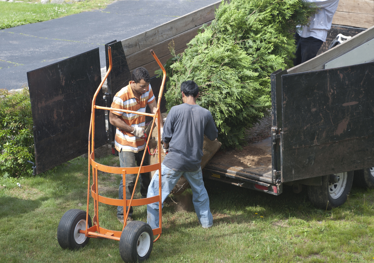 Dump Truck vs. Dump Trailer: Which is Right for Your Hauling Needs?